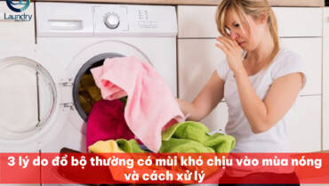 3 lý do đồ bộ thường có mùi khó chịu vào mùa nóng và hướng dẫn giặt giũ hiệu quả